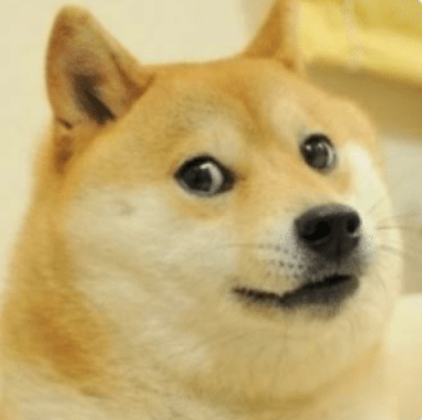 Doge